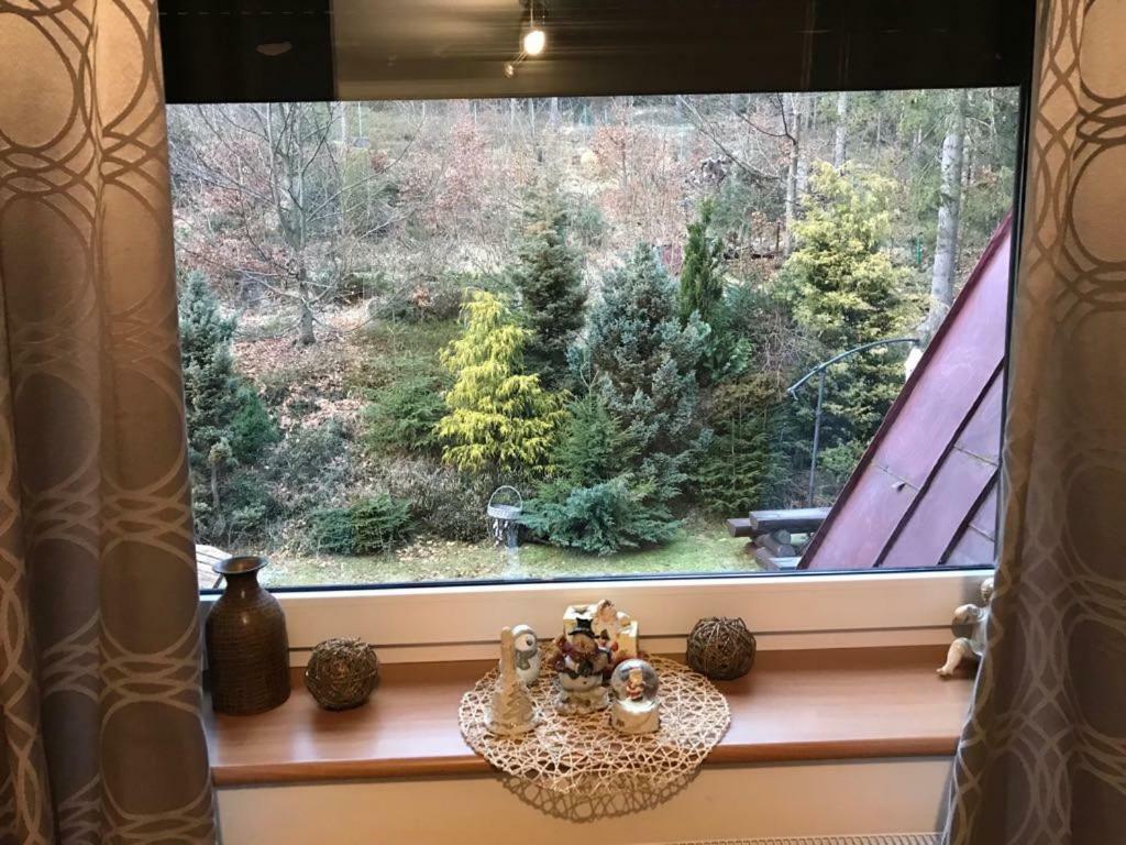 Lesny Dwor Hotell Wisła Exteriör bild