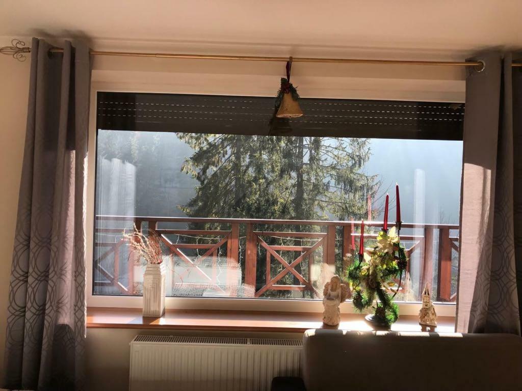 Lesny Dwor Hotell Wisła Exteriör bild