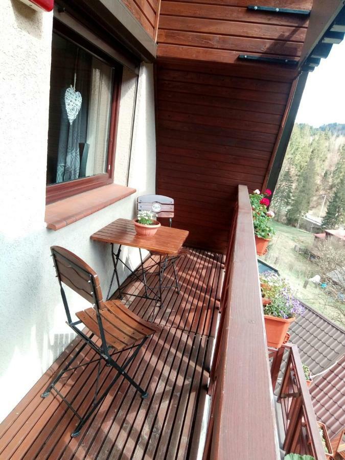 Lesny Dwor Hotell Wisła Exteriör bild